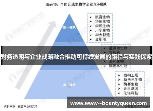 财务透明与企业战略融合推动可持续发展的路径与实践探索