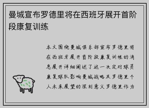 曼城宣布罗德里将在西班牙展开首阶段康复训练
